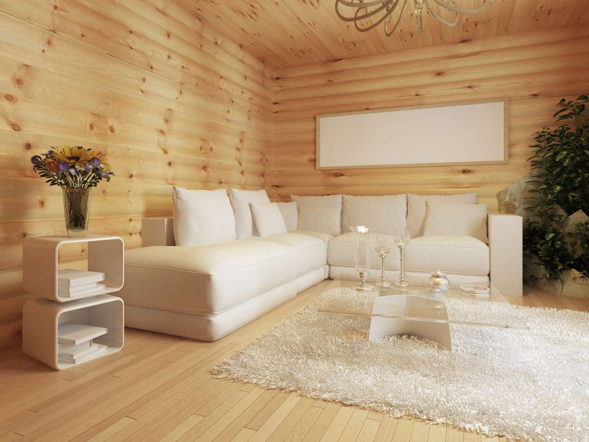 small cabin sheds interior