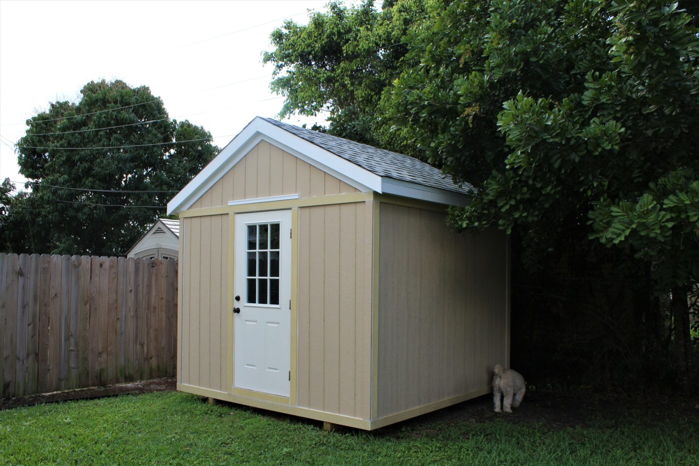 small backyard sheds